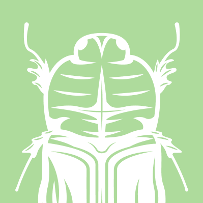 merodon orjensis (merodon orjensis) in Merodon orjensis inhabits open grasslands and meadows with abundant flowering plants.