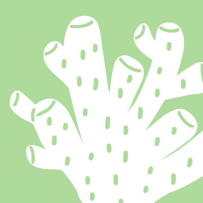 brain coral (mussismilia harttii) in Mussismilia harttii thrives in shallow tropical waters with moderate currents and abundant sunlight.