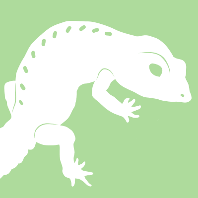 legless skink (barkudia insularis) in Barkudia insularis thrives in lush tropical rainforests with dense vegetation and ample tree cover.