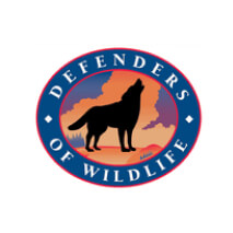 logoImg3