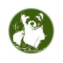 logoImg4