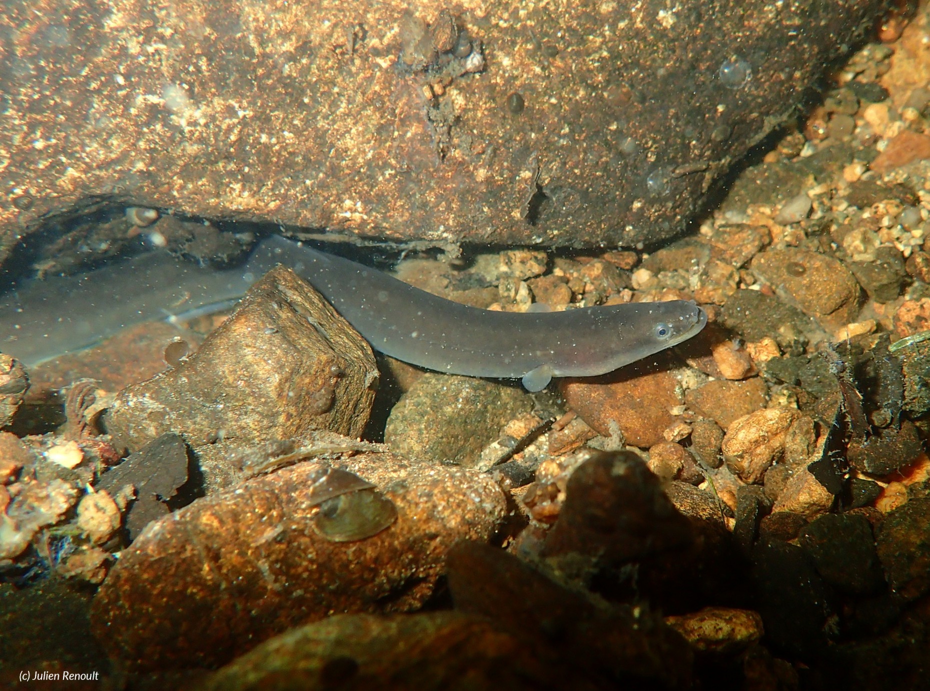 Environmental Stories Image